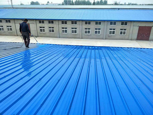 蒋湖农场 彩钢瓦喷漆翻新工业厂房、仓库