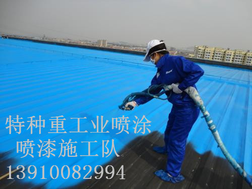 蒋湖农场包括彩钢瓦喷漆翻新（